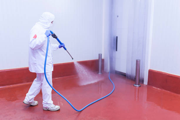 Best Driveway Pressure Washing  in Gold Key Lake, PA